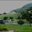 고개농장 이미지