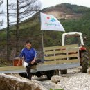 두메아리 이미지