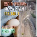 오보코리아 이미지