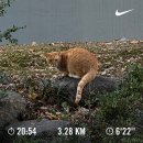 수아동물병원 | 2024년 12월 셋째주 일기