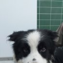 안성맞춤대로 이미지