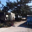 다시청춘민박 이미지