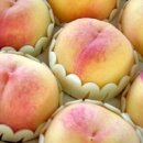 몽키푸드 이미지