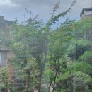 건영단지내공인중개사사무소 이미지