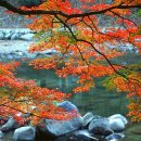 가을에 피는 사랑- 가을 하늘을 수놓을 세미클래식 베스트 이미지