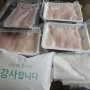 고흥신발 | 2026.7.5, 고흥 붉바리 출조 후기