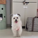 버들하우스 이미지