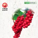 명전계곡 이미지