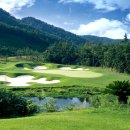 파인비치 이미지