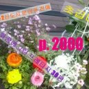 KTX우리부동산공인중개사사무소 네이버블로그