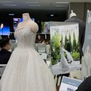 삼성 결혼도움방(결도방) - 26년 1월 소박람회 스드메 예복 한복 계약 후기 견적 공유