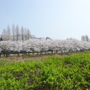 탄동천-2 이미지