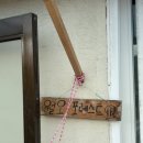 월오포레스트 이미지