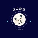 댕구르르 이미지