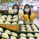 진천농협하나로마트 이미지