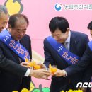 안강농업협동조합 하나로마트