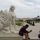 오스트리아 벨베데레 궁전 [Belvedere Palace (Schloss Belvedere)] 이미지