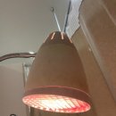 야당연세정형외과의원 이미지