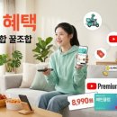 전산전기 | 삼성화재 자동차보험 다이렉트 수입 전기차 갱신 후기 (보험료 인상 원인)