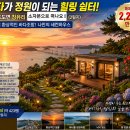 첨단오션공인중개사사무소 | (2200만 원)바다가 정원이 되는 423평 세컨하우스 투자