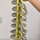 산이랑 바다 이미지