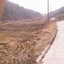 윤슬이네 이미지