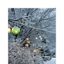 드리밍하우스 이미지