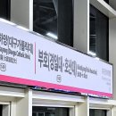 하양 이미지