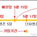 가임기간 - 지식카페 이미지