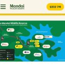 Black tree | [싱가포르] 반얀트리 만다이 레인포레스트 리조트 숙박 후기 (Mandai Rainforest Resort by Banyan Tree)