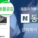 예송동물병원 네이버블로그
