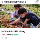 다정한 농장 이미지