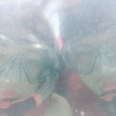 영빈파크 이미지