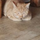 은하수 동물병원 이미지