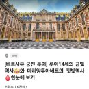 궁전라이브