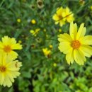 봄봄부동산중개 이미지