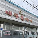 보령 현지인 맛집 : 뽈데기찜과 볶음밥이 정말 맛있는 ‘대구뽈데기’