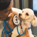 리틀피크닉 이미지