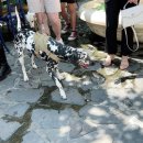 로데오 분수공원 이미지