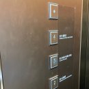 홈패션 A반 | 강남 고속버스터미널 고터 꽃시장 투어 5월 어버이날 스승의날 카네이션 작약 튤립 (+꿀팁)