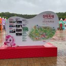 남구-138 | 울산 남구 울산대공원 장미축제 아이와 함께한 티니핑 팬미팅 후기
