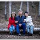 도문자작 이미지