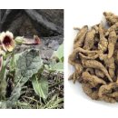 동암프라자 약국 이미지