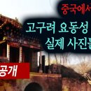 요동성