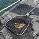 당진목욕탕 | [당진 여행] 당진 삽교호에서 드론쇼 구경하기 왜목항 좌대 낚시 출조까지