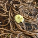 마포 성산 _ 마포구청 경양식돈까스 맛집 은하수식당 내돈내산 솔직후기