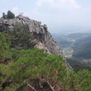 설옥1구 이미지