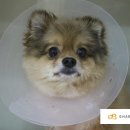 마로동물병원 이미지