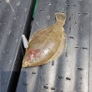 돌산펜션 이미지