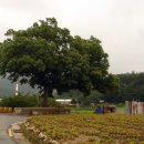 선두구동 주민센터 이미지